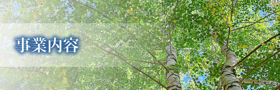 事業内容